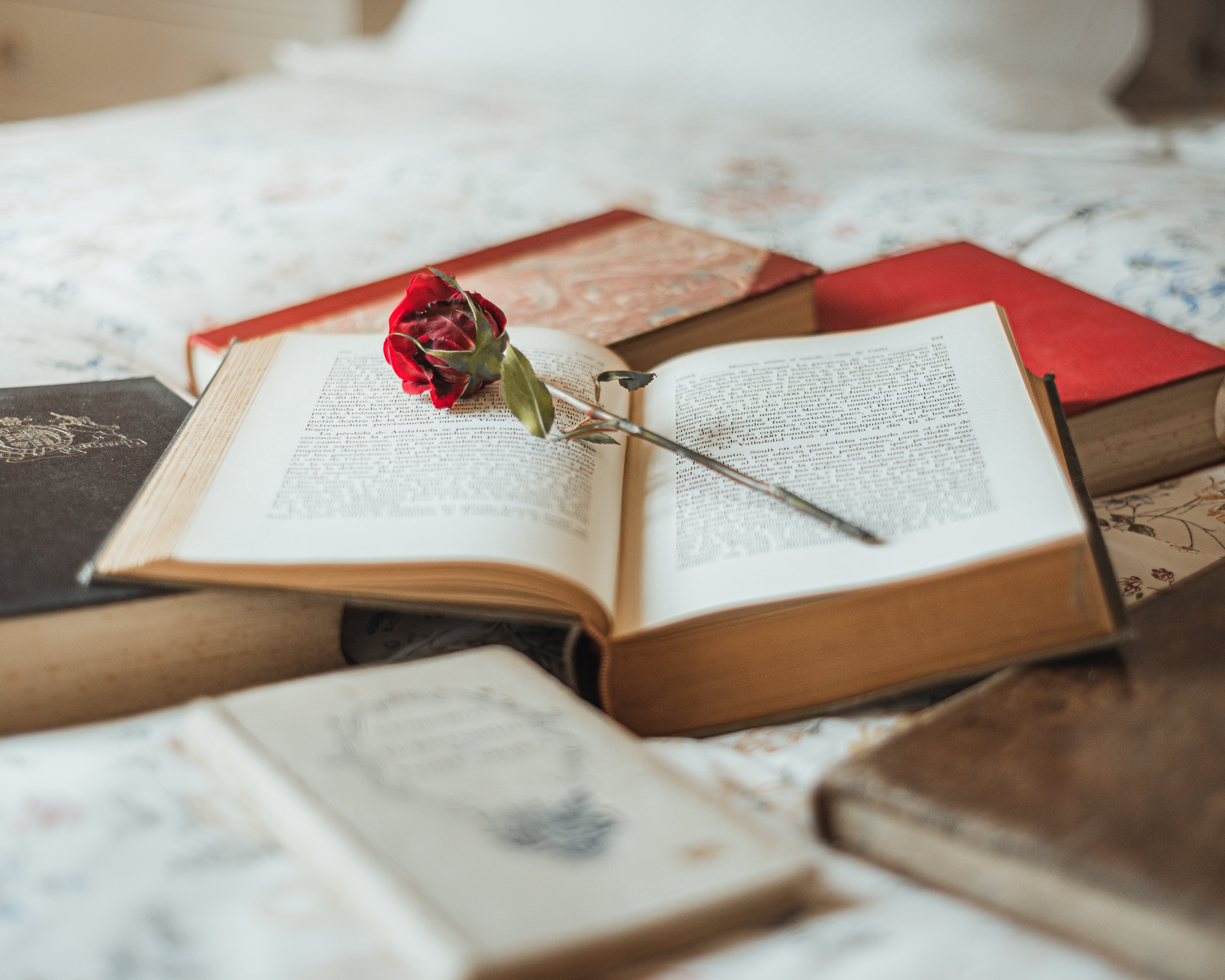 Los grandes infieles de la literatura: de Madame Bovary a Anna Karenina Los grandes infieles de la literatura: de Madame Bovary a Anna Karenina