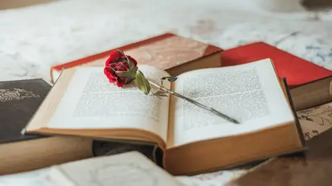 Los grandes infieles de la literatura: de Madame Bovary a Anna Karenina Los grandes infieles de la literatura: de Madame Bovary a Anna Karenina