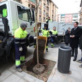 El barrio Santa Teresa de Toledo cuenta con 60 árboles nuevos plantados por el Ayuntamiento