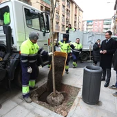 El barrio Santa Teresa de Toledo cuenta con 60 árboles nuevos plantados por el Ayuntamiento El barrio Santa Teresa de Toledo cuenta con 60 árboles nuevos plantados por el Ayuntamiento