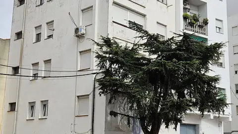 Las ayudas para rehabilitación de viviendas en municipios de hasta 10.000 habitantes se podrán pedir desde el 1 de marzo Las ayudas para rehabilitación de viviendas en municipios de hasta 10.000 habitantes se podrán pedir desde el 1 de marzo