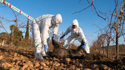 Agents Rurals a Collserola Agents Rurals a Collserola