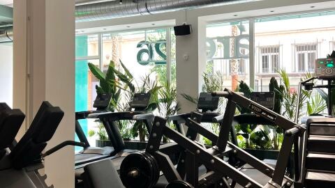 Gimnasio