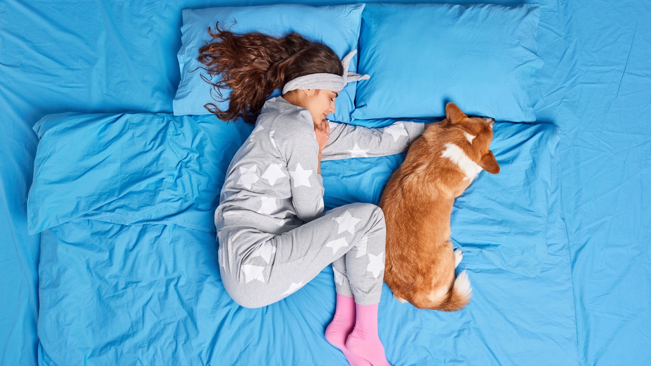 ONDA CERO 🔵 El veterinario Carlos Rodríguez desvela si es recomendable dormir en la cama con tu mascota: « Hay una evidencia… » ONDA CERO 🔵 El veterinario Carlos Rodríguez desvela si es recomendable dormir en la cama con tu mascota: « Hay una evidencia… »