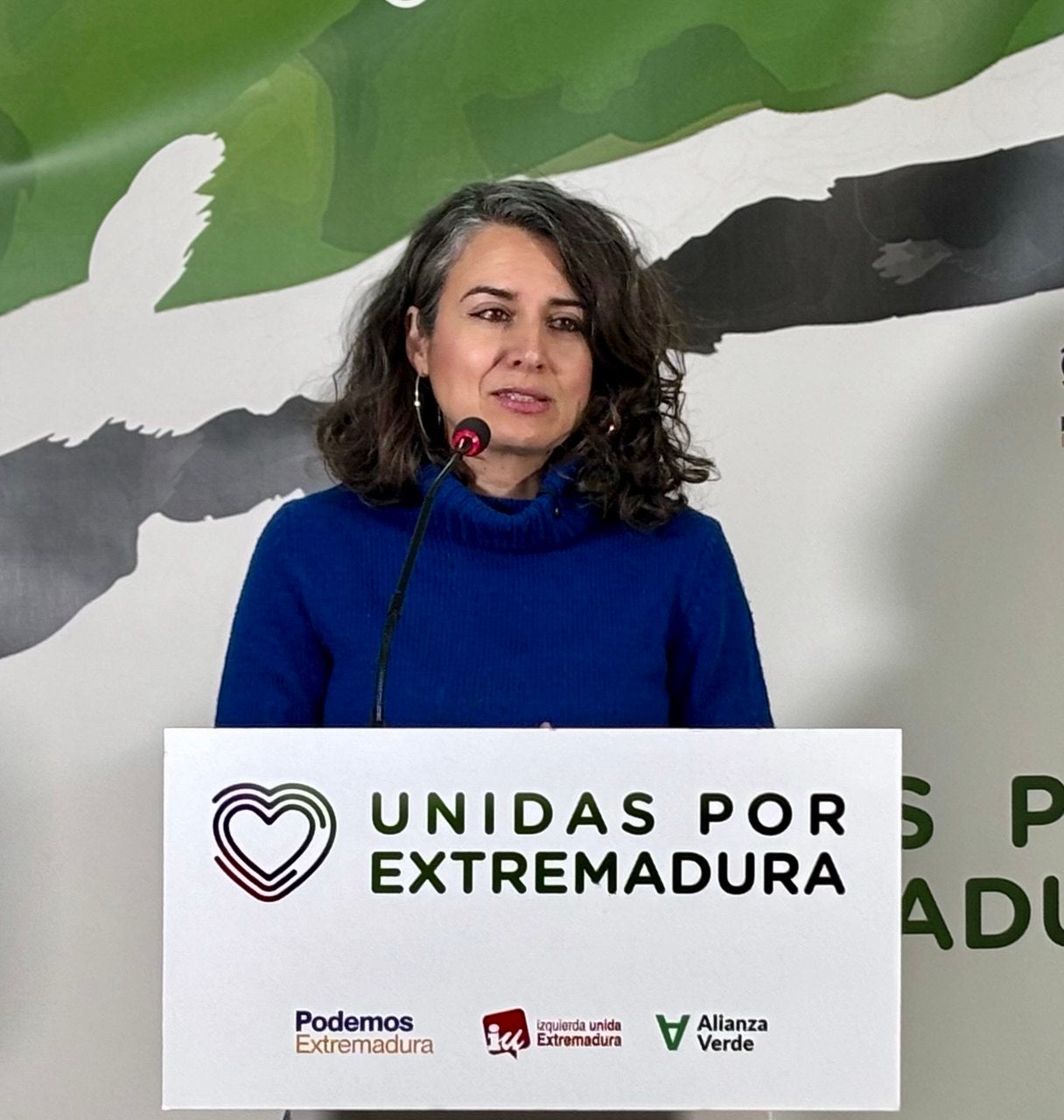 Irene de Miguel exige “máxima transparencia” en las negociaciones entre PP y Vox Irene de Miguel exige “máxima transparencia” en las negociaciones entre PP y Vox