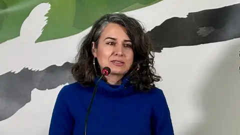 Irene de Miguel exige “máxima transparencia” en las negociaciones entre PP y Vox Irene de Miguel exige “máxima transparencia” en las negociaciones entre PP y Vox