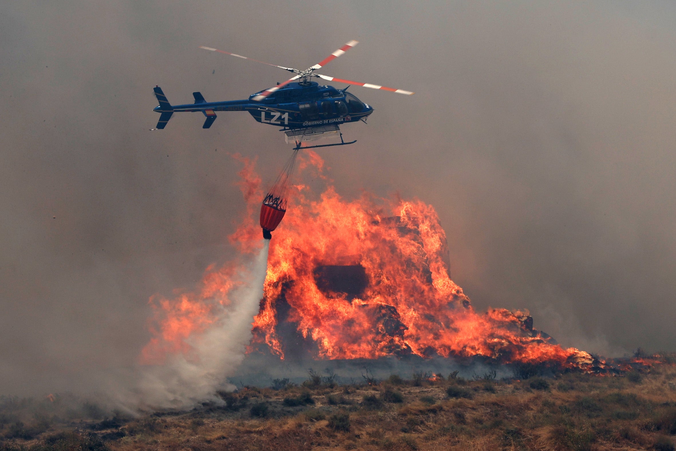 Los reporteros gráficos de Navarra repasan en 31 imágenes el año 2025 Los reporteros gráficos de Navarra repasan en 31 imágenes el año 2025
