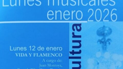 Vida y Flamenco