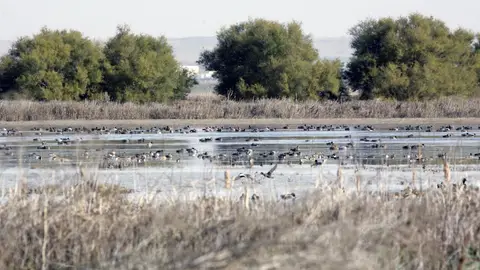 La Diputación palentina renovó el convenio con Global Nature por importe de 16.000 euros .