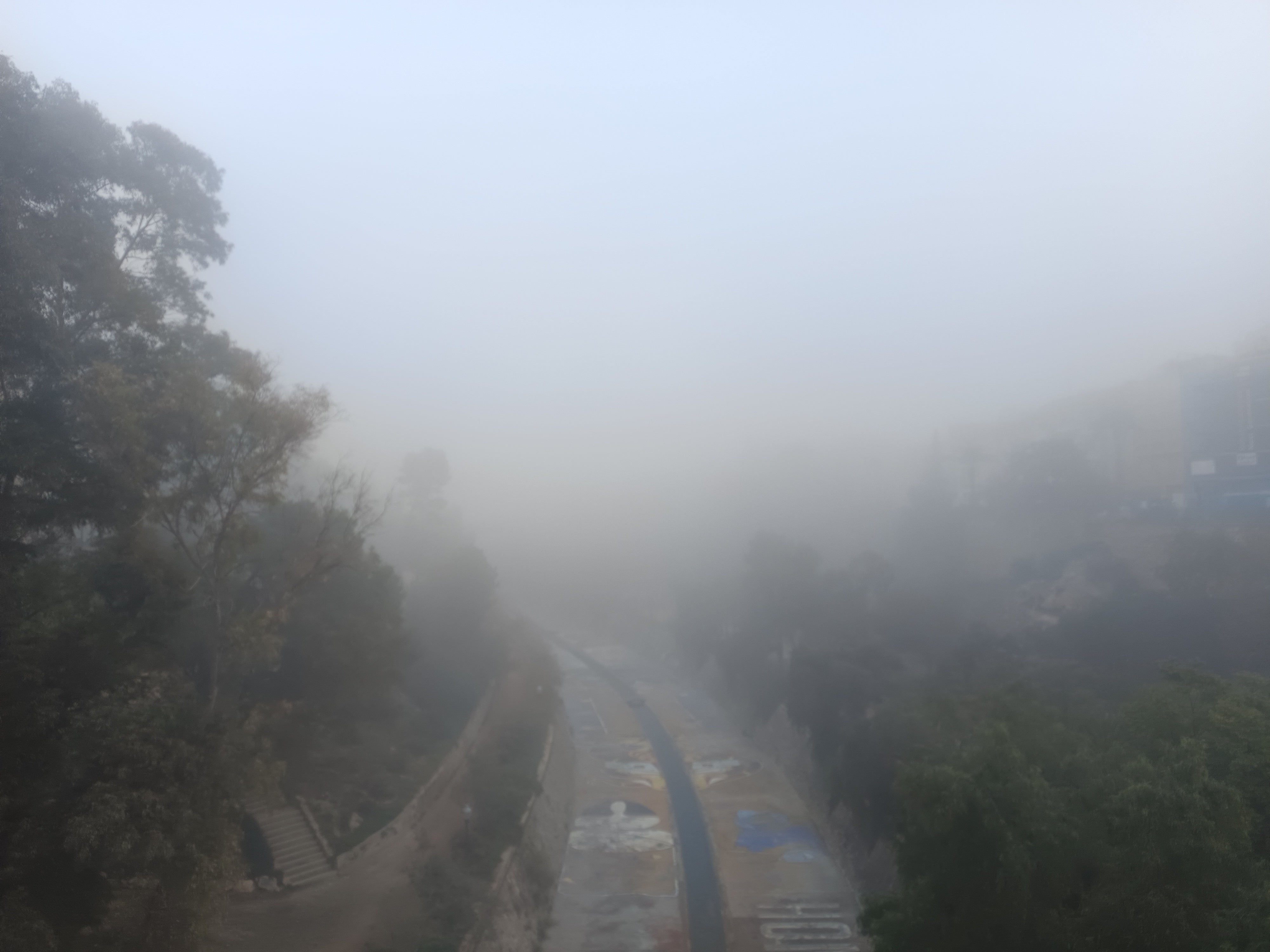 La niebla deja este martes en Elche una inusual estampa La niebla deja este martes en Elche una inusual estampa
