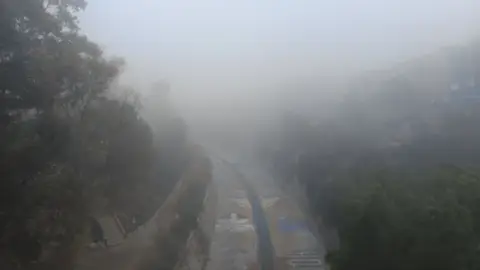Niebla en la ladera del río Vinalopó en Elche. Niebla en la ladera del río Vinalopó en Elche.
