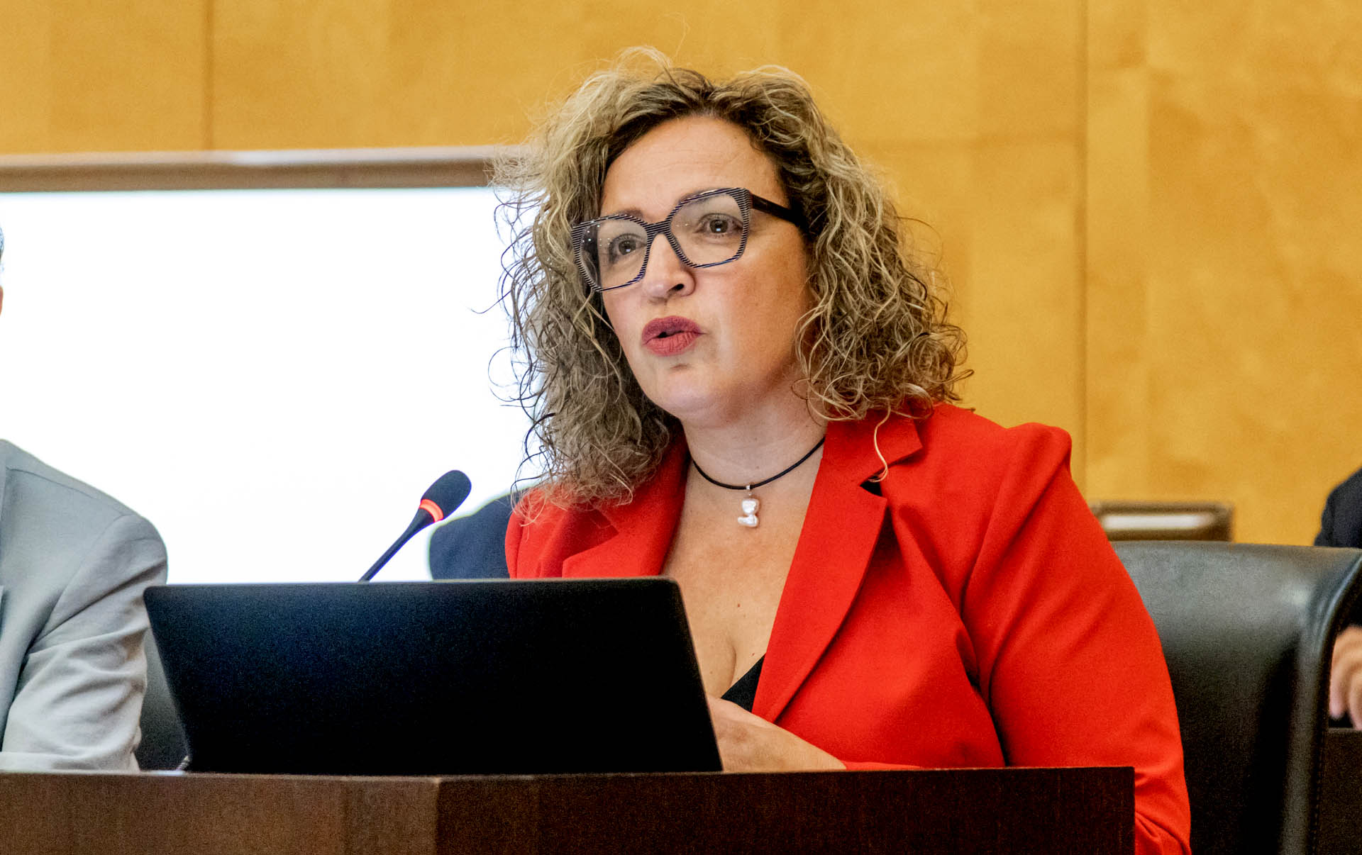 En Benidorm, cruce de acusaciones entre PSOE y gobierno local por el conflicto de Serra Gelada En Benidorm, cruce de acusaciones entre PSOE y gobierno local por el conflicto de Serra Gelada