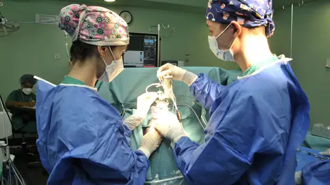 Intervención quirúrgica Intervención quirúrgica