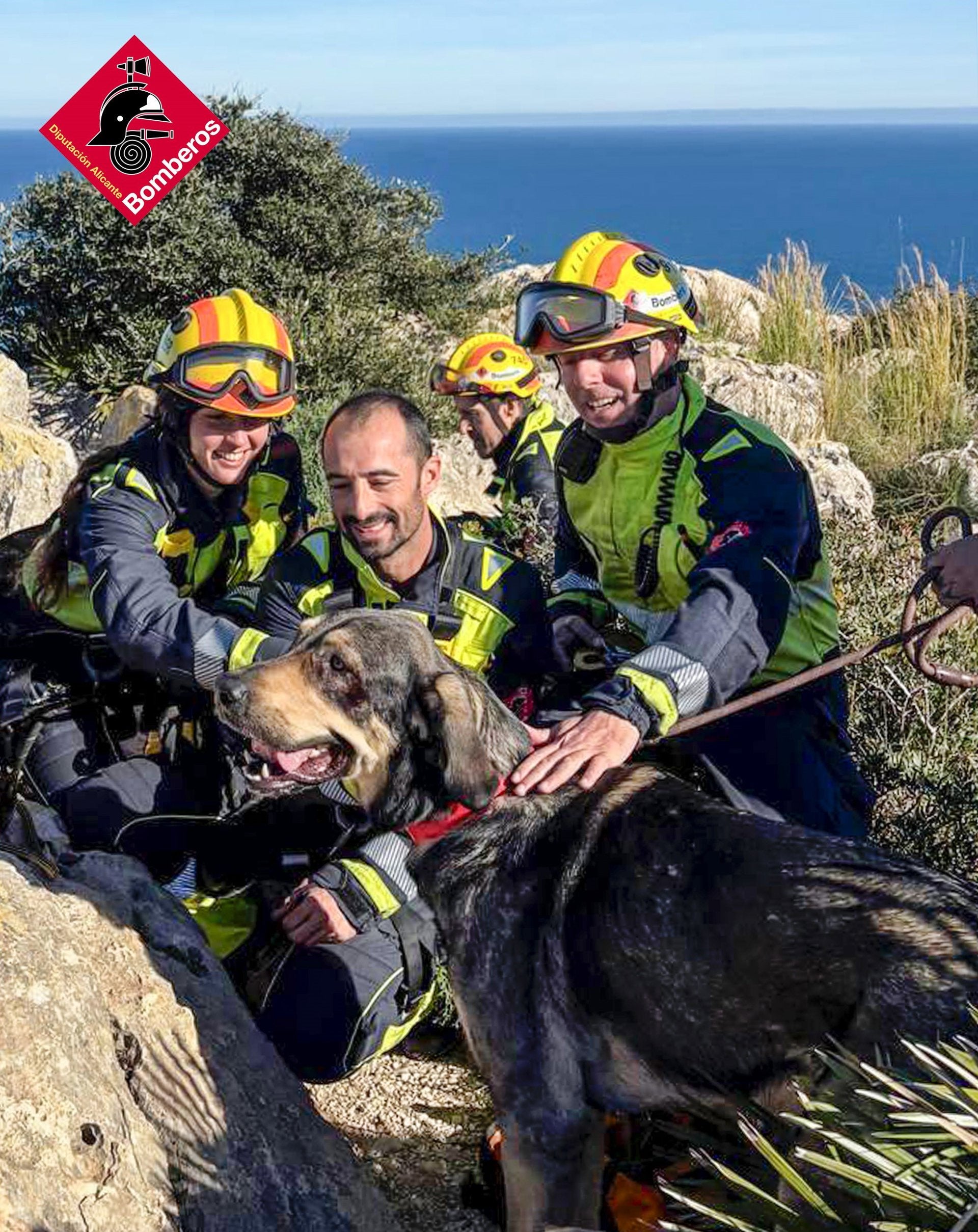 Rescatan un mastín despeñado en la costa Rescatan un mastín despeñado en la costa