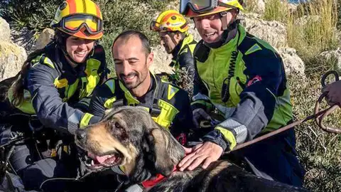 Rescatan un mastín despeñado en la costa de Alicante Rescatan un mastín despeñado en la costa de Alicante