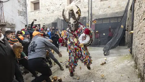 Decenas de personas lanzan nabos al Jarramplas, a 19 de enero de 2025, en Piornal, Cáceres, Extremadura (España). Decenas de personas lanzan nabos al Jarramplas, a 19 de enero de 2025, en Piornal, Cáceres, Extremadura (España).