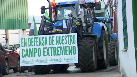 Cooperativas Agro-alimentarias Extremadura exige a la UE "respuestas urgentes" a las exigencias del campo extremeño Cooperativas Agro-alimentarias Extremadura exige a la UE "respuestas urgentes" a las exigencias del campo extremeño