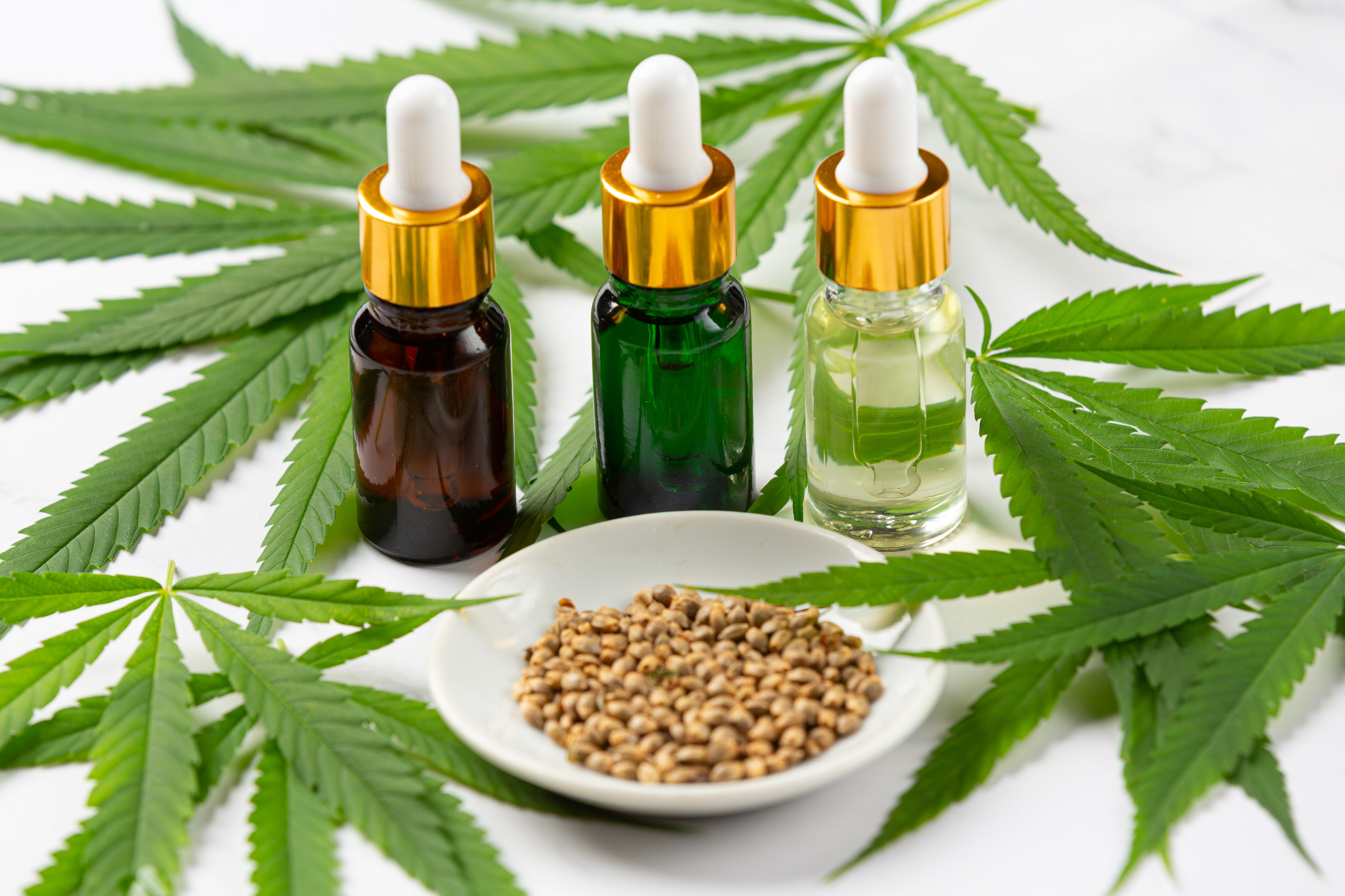 Las cuatro patologías que se podrán tratar con cannabis por vía oral: Sanidad autoriza su administración Las cuatro patologías que se podrán tratar con cannabis por vía oral: Sanidad autoriza su administración
