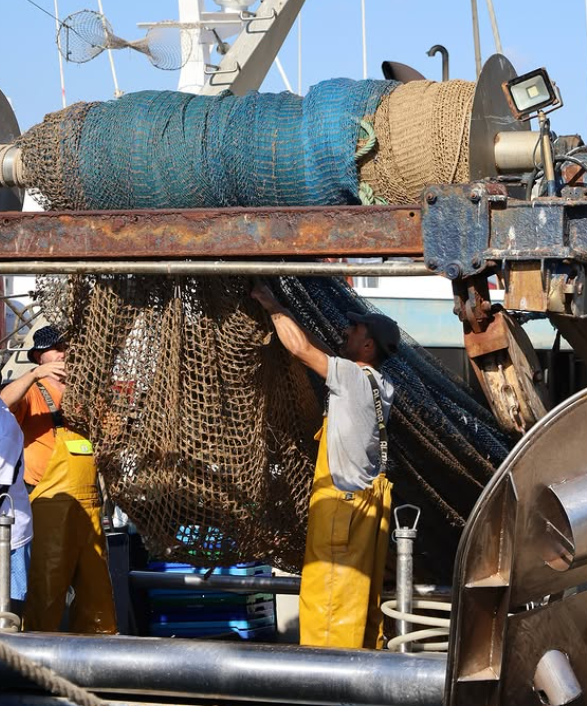 Más de 120 barcos amarrados en Castellón contra el nuevo control europeo de la pesca Más de 120 barcos amarrados en Castellón contra el nuevo control europeo de la pesca