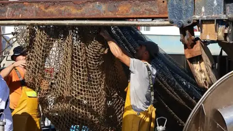 La Cofradía de Pescadores de Villajoyosa decide hoy si para la flota desde este jueves La Cofradía de Pescadores de Villajoyosa decide hoy si para la flota desde este jueves