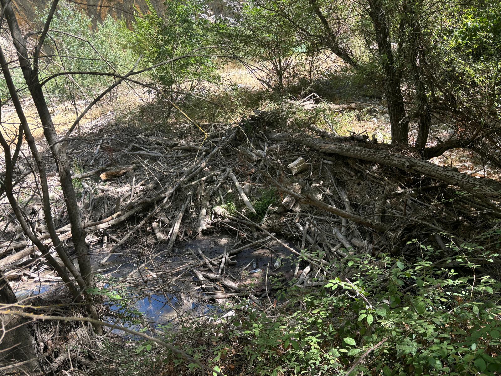 Ecologistas en Acción Granada exige medidas urgentes para salvar el río Velillos ante el riesgo de "colapso ecológico" Ecologistas en Acción Granada exige medidas urgentes para salvar el río Velillos ante el riesgo de "colapso ecológico"