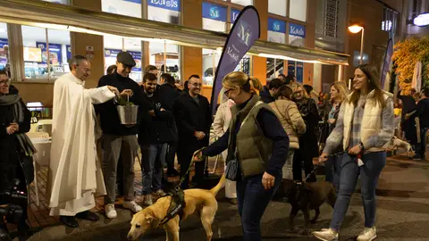 Vila-real celebrará la tradicional Matxà de Sant Antoni el 16 de enero con desfile y música en directo. Vila-real celebrará la tradicional Matxà de Sant Antoni el 16 de enero con desfile y música en directo.