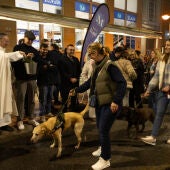 Vila-real celebrará la tradicional Matxà de Sant Antoni el 16 de enero con desfile y música en directo.
