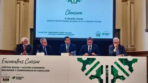 Civisur impulsa en Málaga el debate sobre el futuro del Tercer Sector Civisur impulsa en Málaga el debate sobre el futuro del Tercer Sector