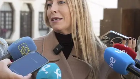 Guardiola señala que "todo va muy bien" en la negociación con Vox, aunque "no hay nada que contar" Guardiola señala que "todo va muy bien" en la negociación con Vox, aunque "no hay nada que contar"