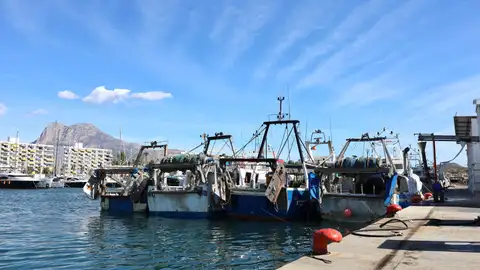 El sector pesquero de la Marina Baixa participa en la paralización de la actividad pesquera el lunes 19 El sector pesquero de la Marina Baixa participa en la paralización de la actividad pesquera el lunes 19