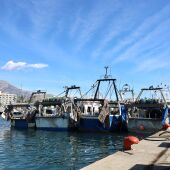 El sector pesquero de la Marina Baixa participa en la paralización de la actividad pesquera el lunes 19