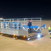 Benidorm realiza una limpieza intensiva de las playas para prepararlas de cara a las primeras citas turísticas Benidorm realiza una limpieza intensiva de las playas para prepararlas de cara a las primeras citas turísticas