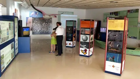 Imagen de archivo de una exposición en el Centro de Recepción de Visitantes del Parque Natural de El Hondo Crevillent-Elche. Imagen de archivo de una exposición en el Centro de Recepción de Visitantes del Parque Natural de El Hondo Crevillent-Elche.
