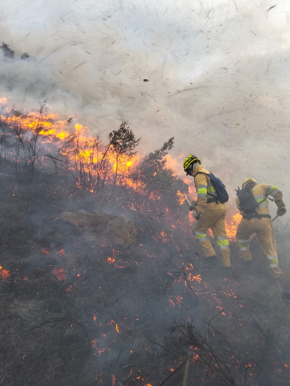 Cantabria activa el nivel 2 de prevención de incendios forestales Cantabria activa el nivel 2 de prevención de incendios forestales
