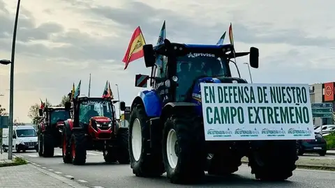 ASAJA y APAG Extremadura se felicitan por la paralización del acuerdo con Mercosur pero mantienen las tractoradas para este viernes ASAJA y APAG Extremadura se felicitan por la paralización del acuerdo con Mercosur pero mantienen las tractoradas para este viernes