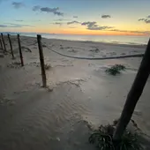 El sistema dunar protegido de Guardamar del Segura, principal activo de la localidad El sistema dunar protegido de Guardamar del Segura, principal activo de la localidad