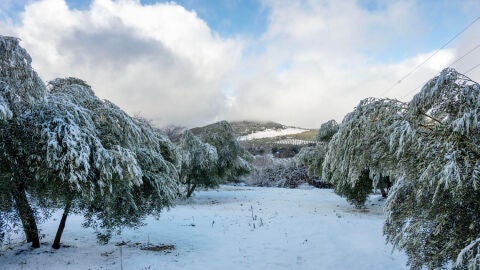 Nieve en Ja&eacute;n
