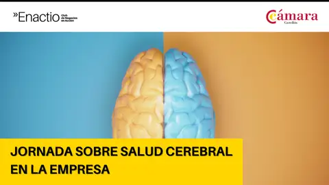 La Fundación Ateneu Castelló organiza un desayuno sobre salud cerebral y rendimiento profesional La Fundación Ateneu Castelló organiza un desayuno sobre salud cerebral y rendimiento profesional