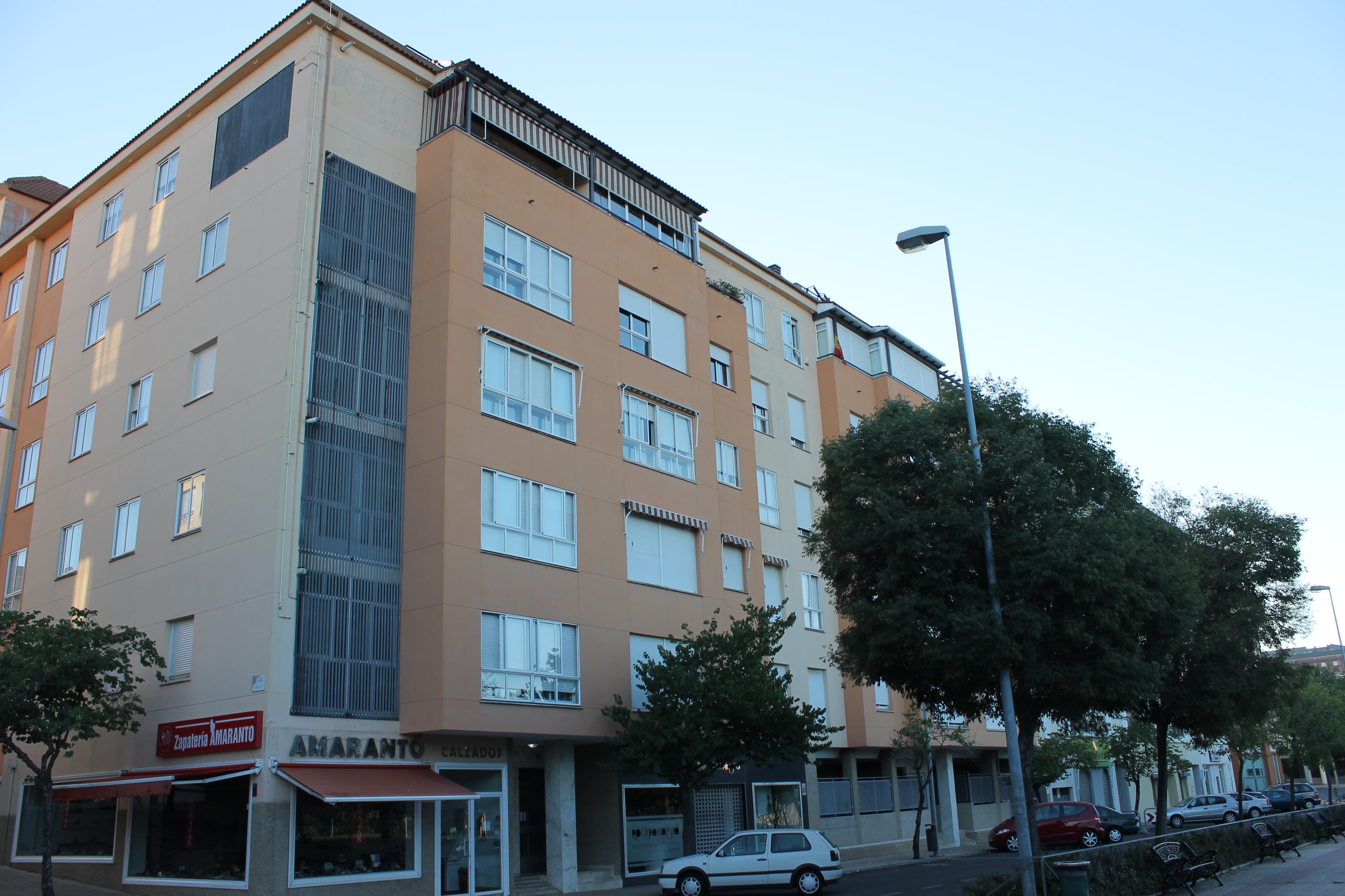 La madre del joven de 29 años encontrado muerto este lunes en Cáceres detenida La madre del joven de 29 años encontrado muerto este lunes en Cáceres detenida