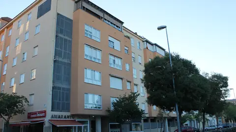 La madre del joven de 29 años encontrado muerto este lunes en Cáceres detenida La madre del joven de 29 años encontrado muerto este lunes en Cáceres detenida