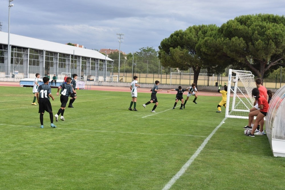 Ciudad Real cierra instalaciones deportivas al aire libre ante el aviso por lluvia y fuertes rachas de viento Ciudad Real cierra instalaciones deportivas al aire libre ante el aviso por lluvia y fuertes rachas de viento