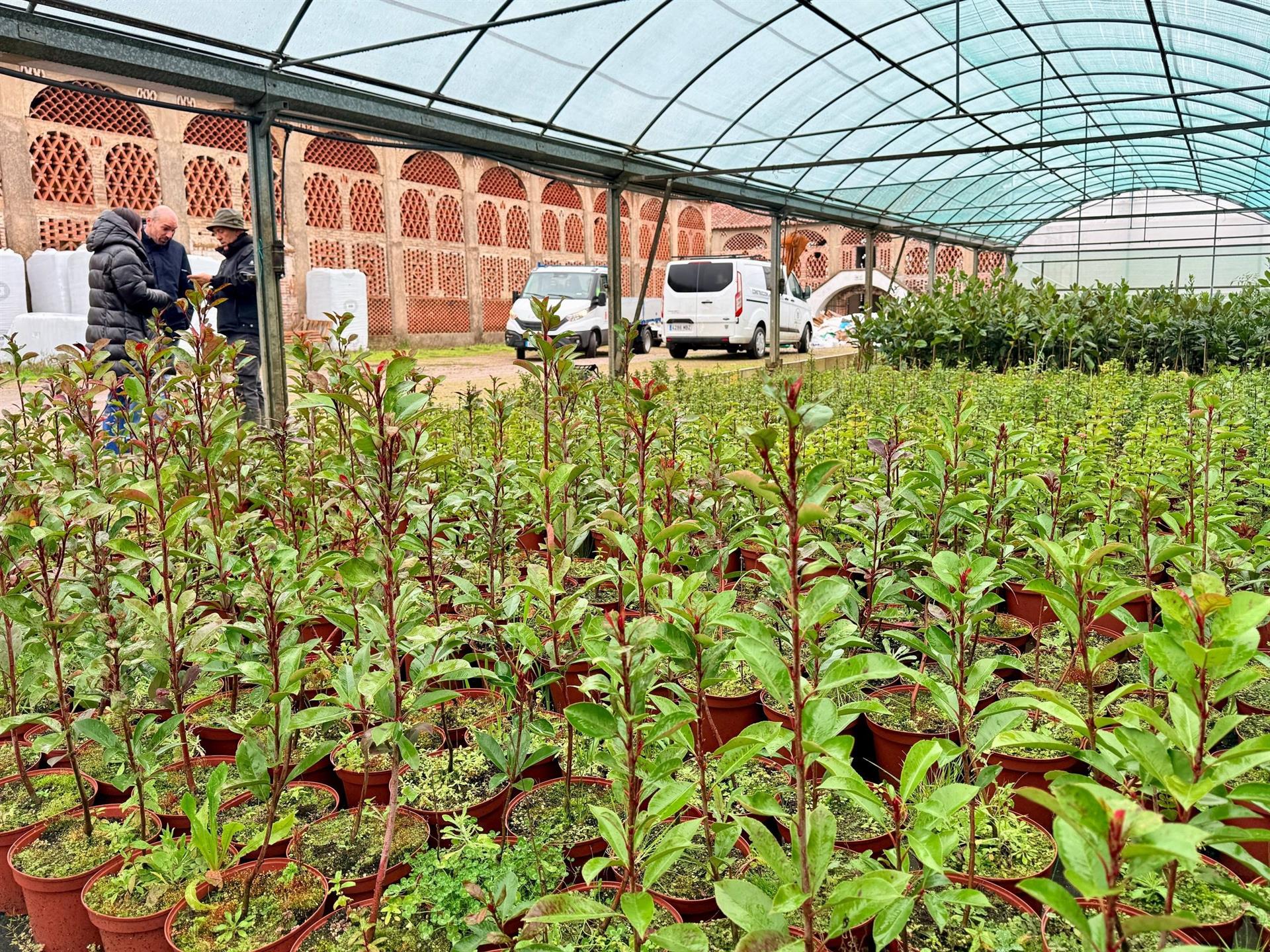 La Diputación de Cáceres reparte 23.000 árboles a 147 municipios de la provincia para embellecer sus calles La Diputación de Cáceres reparte 23.000 árboles a 147 municipios de la provincia para embellecer sus calles