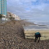El Ayuntamiento de Oropesa exige a al gobierno de Sánchez la construcción urgente de espigones en sus playas 