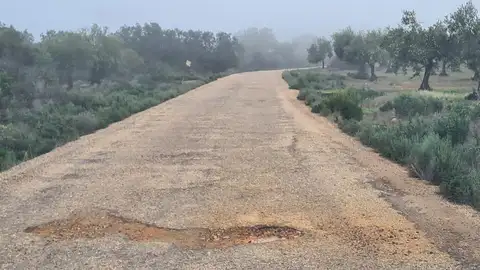 La Junta licita 5,8 millones de euros en obras para mejorar 13 caminos rurales en Extremadura La Junta licita 5,8 millones de euros en obras para mejorar 13 caminos rurales en Extremadura
