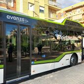 Uno de los autobuses del servicio de transporte urbano a las pedanías de Elche. 