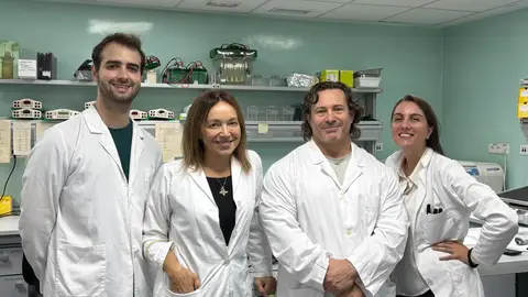 Una nueva combinación de fármacos logra resultados más eficaces contra la obesidad y el hígado graso Una nueva combinación de fármacos logra resultados más eficaces contra la obesidad y el hígado graso