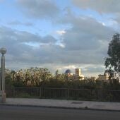 Vista de Elche con la basílica de Santa María al fondo.
