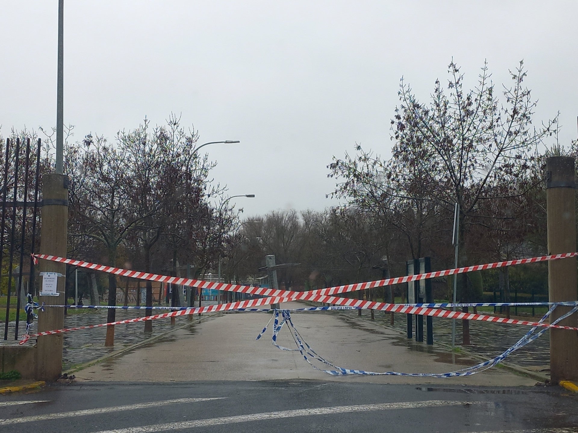 Ciudad Real registra 114 incidencias por el episodio de viento y lluvia, sin daños personales Ciudad Real registra 114 incidencias por el episodio de viento y lluvia, sin daños personales