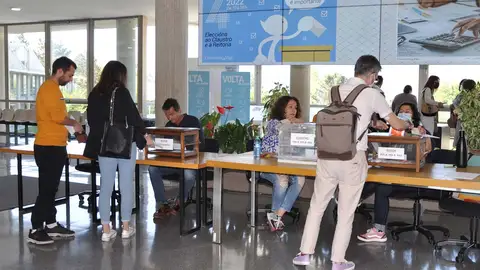 Elecciones del año 2022 Elecciones del año 2022