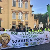 Las organizaciones agrarias se están manifestando hoy frente a la Subdelegación del Gobierno para protestar contra el acuerdo con Mercosur y la nueva PAC Las organizaciones agrarias se están manifestando hoy frente a la Subdelegación del Gobierno para protestar contra el acuerdo con Mercosur y la nueva PAC